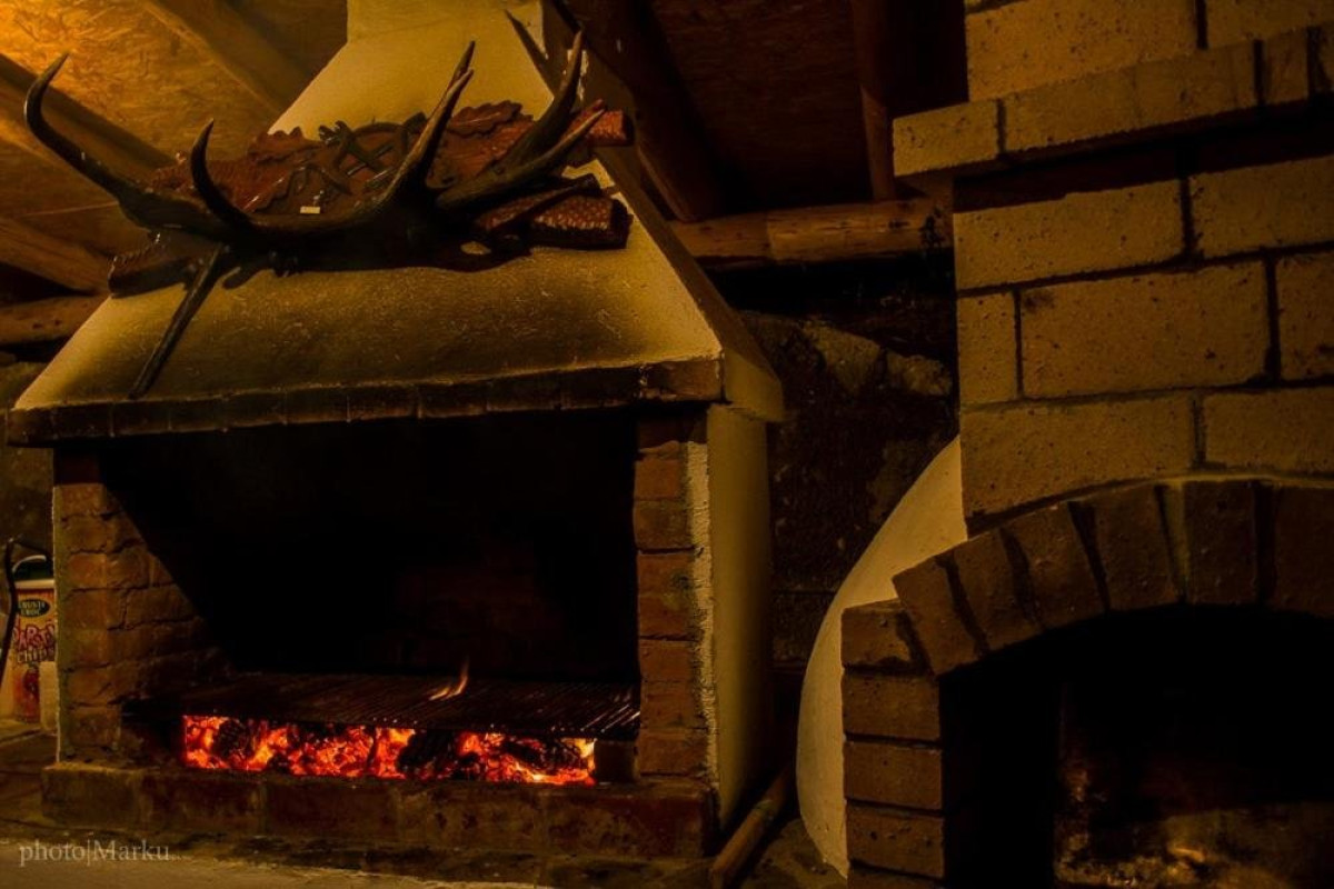 Chalet Flora (Viseul de Jos)