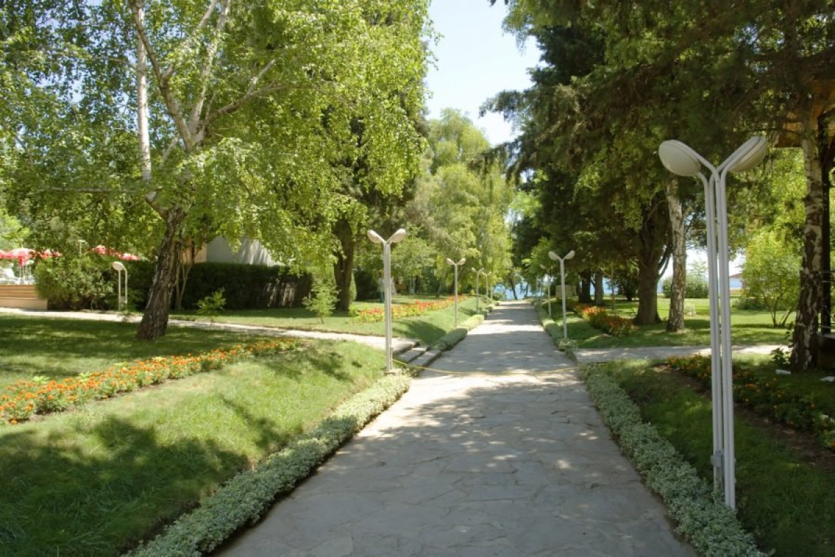 PARK HOTEL OASIS (dublat)