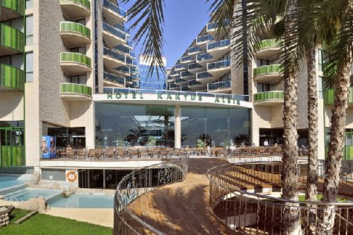 Kaktus Albir (Albir)
