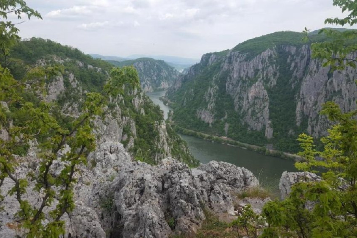 Pensiunea Decebal