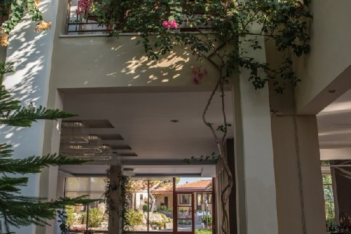 Alma Hotel Petra