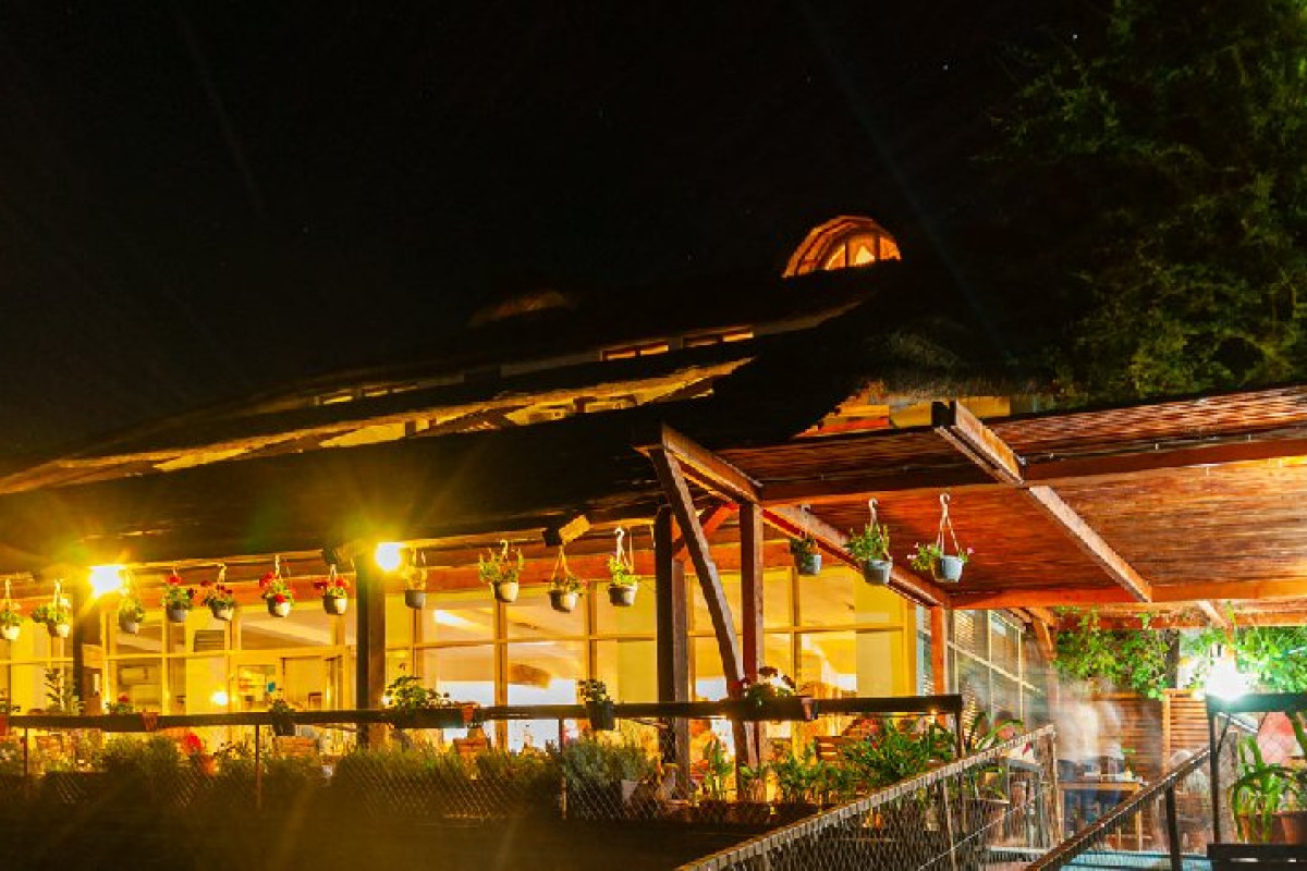 Paradise Delta House - Crisan