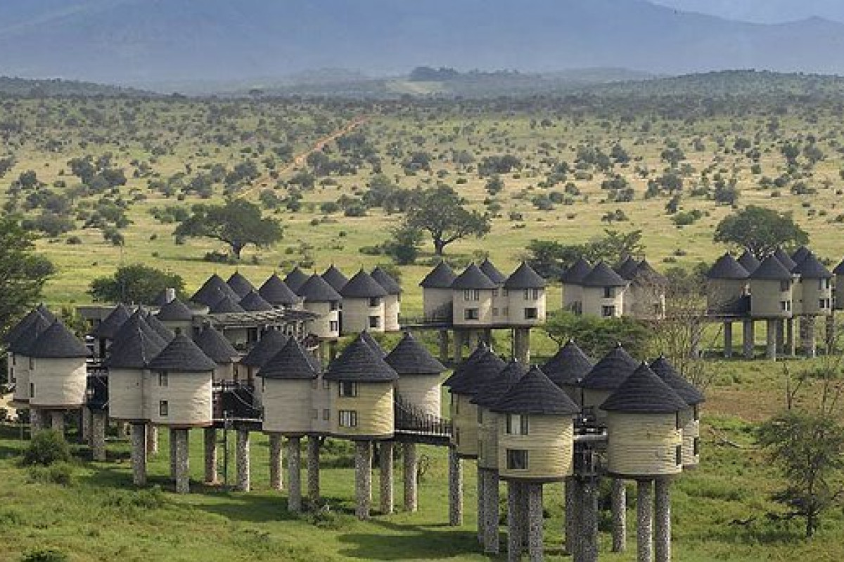 Safari Tsavo East - West (2 nopti) + Bamburi Beach (5 nopti)