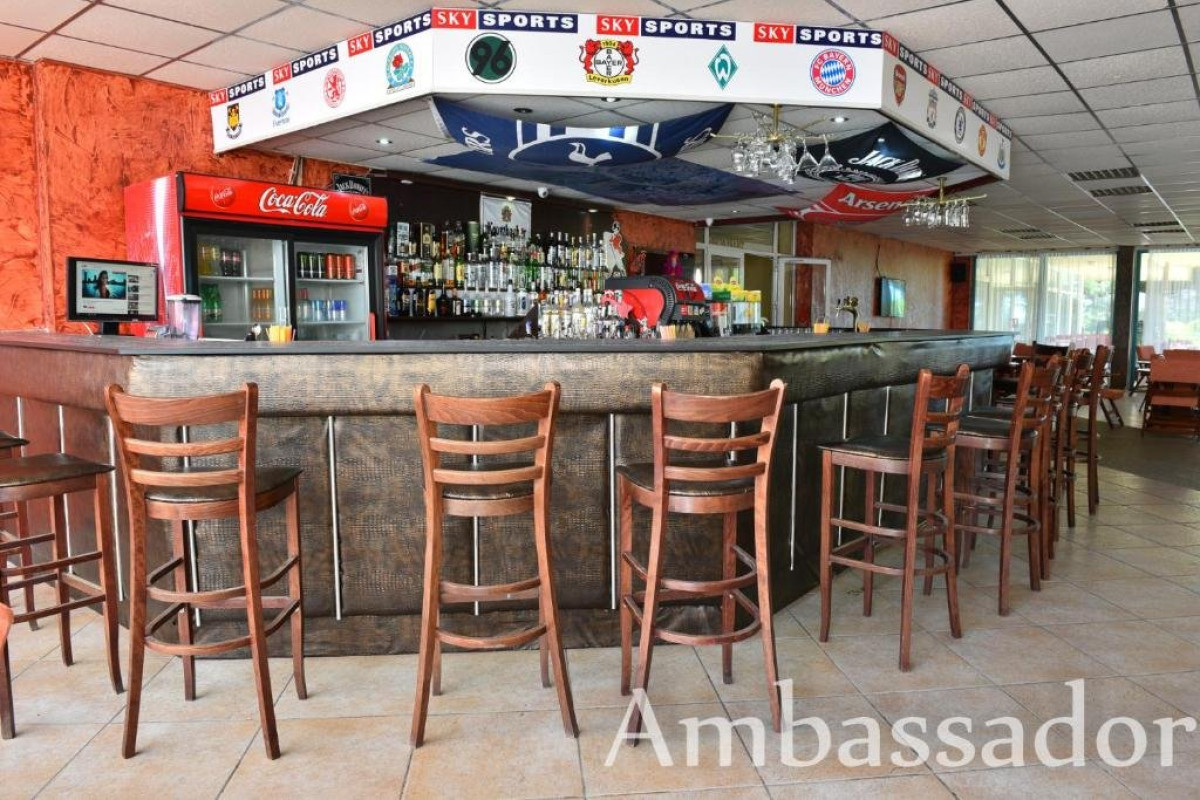 AMBASSADOR (GOLDEN SANDS)