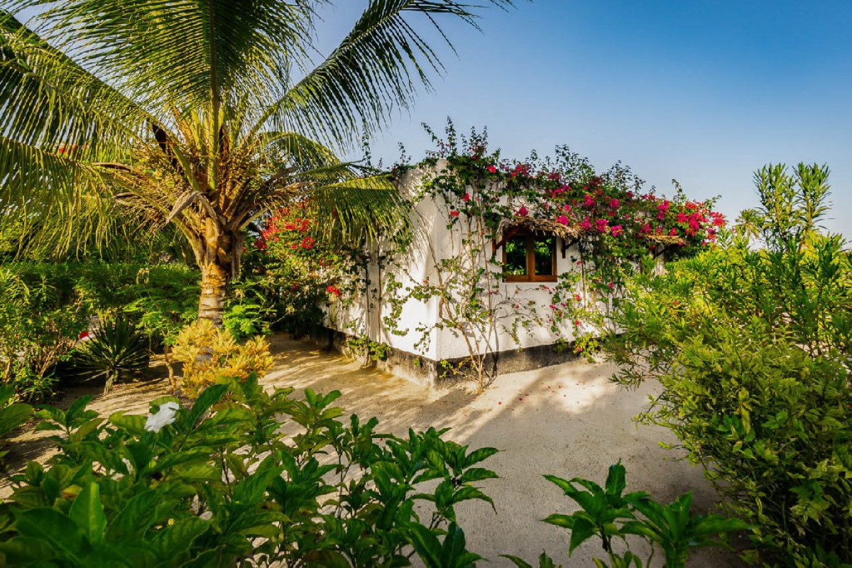 WHITE PARADISE ZANZIBAR (Pongwe)