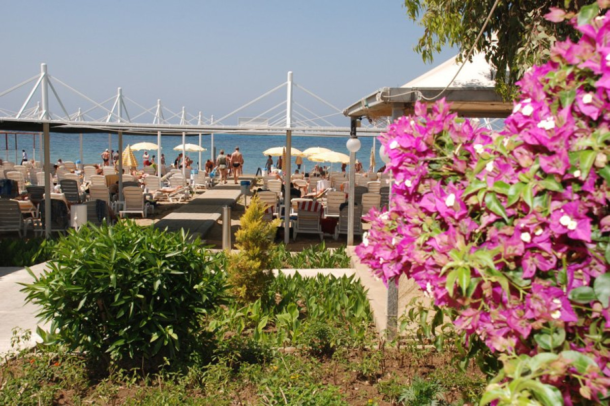 FEBEACH SIDE