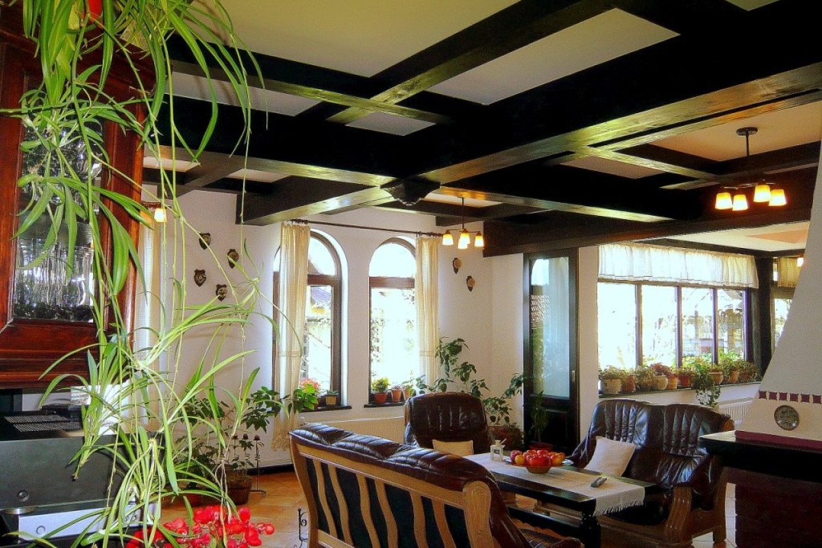 Casa Calin (Vama)