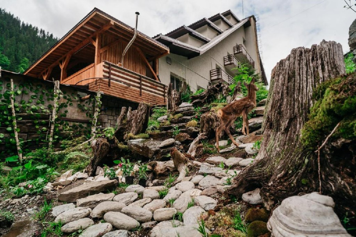 Cabana Balea Cascada..