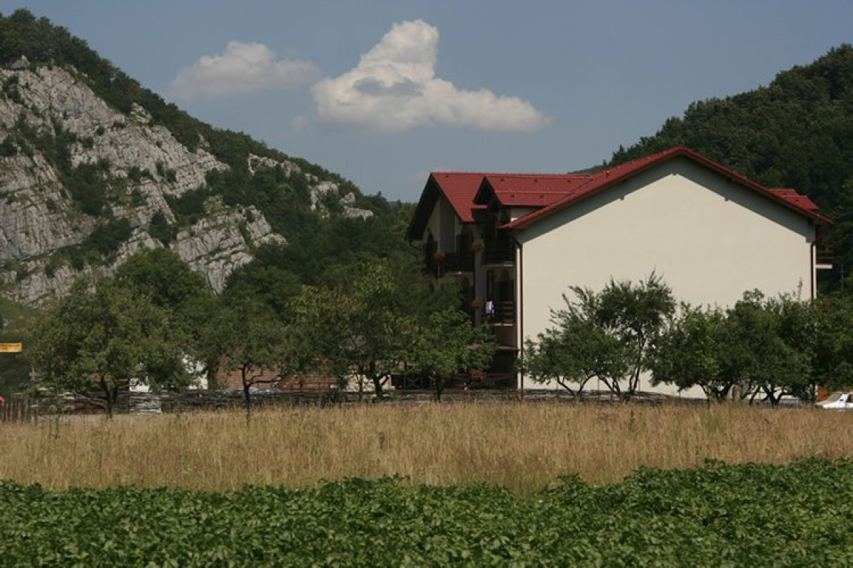 Pensiunea Carpathia