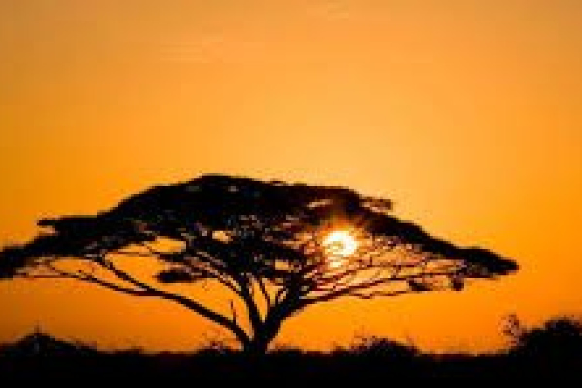 Safari Amboseli-Tsavo (3 nopti) + Diani Reef Beach (4 nopti)