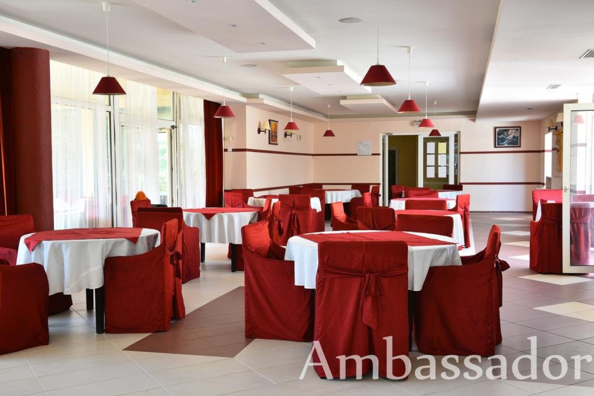 Ambassador
