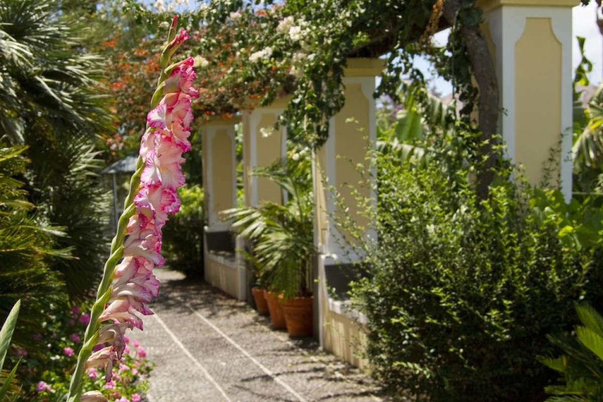 QUINTA BELA SAO TIAGO (D)