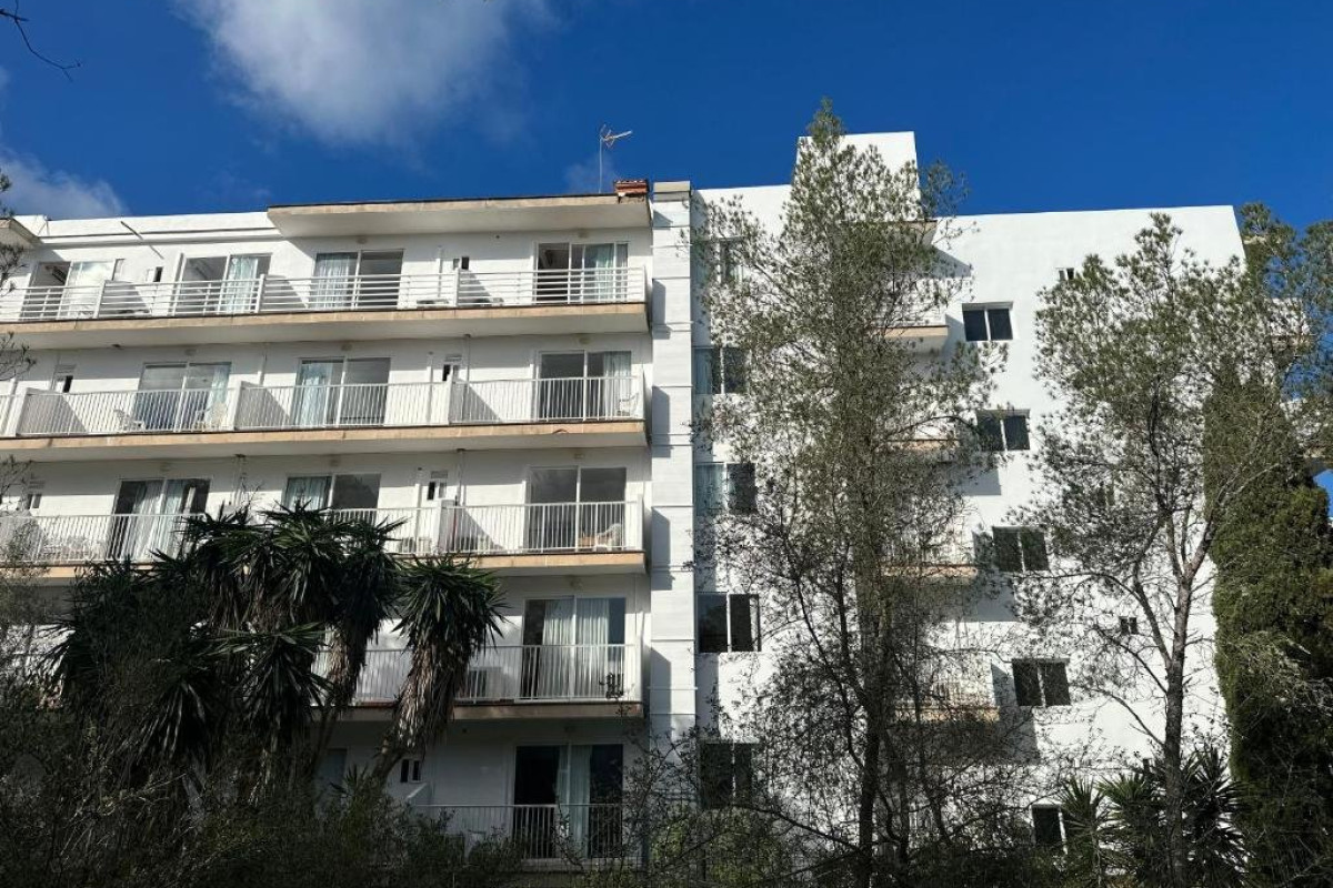 Hotel Selva Arenal (ex. Palma Mazas)
