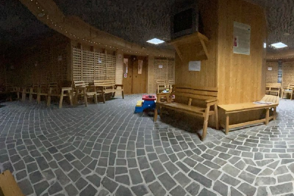 Alunis