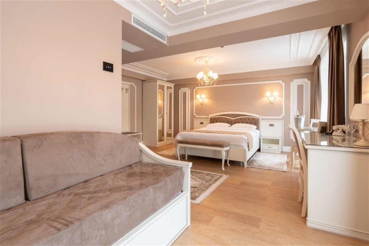 Hotel Gabriela (Viseul de Sus)..