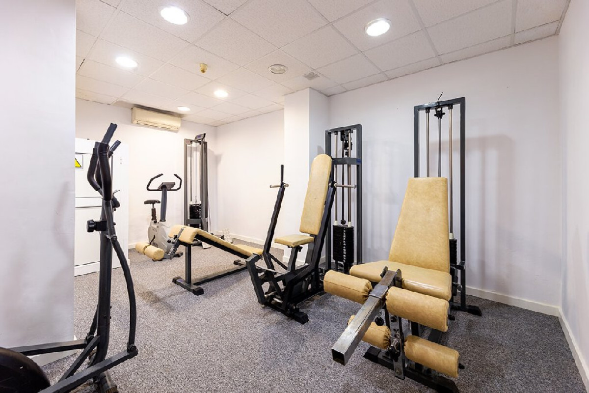 JS Paradise Sport (Adults Only +16 ani)