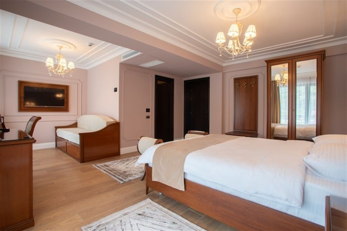 Hotel Gabriela (Viseul de Sus)..