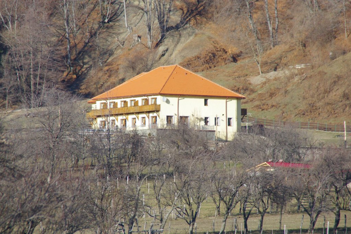 Pensiunea Castania