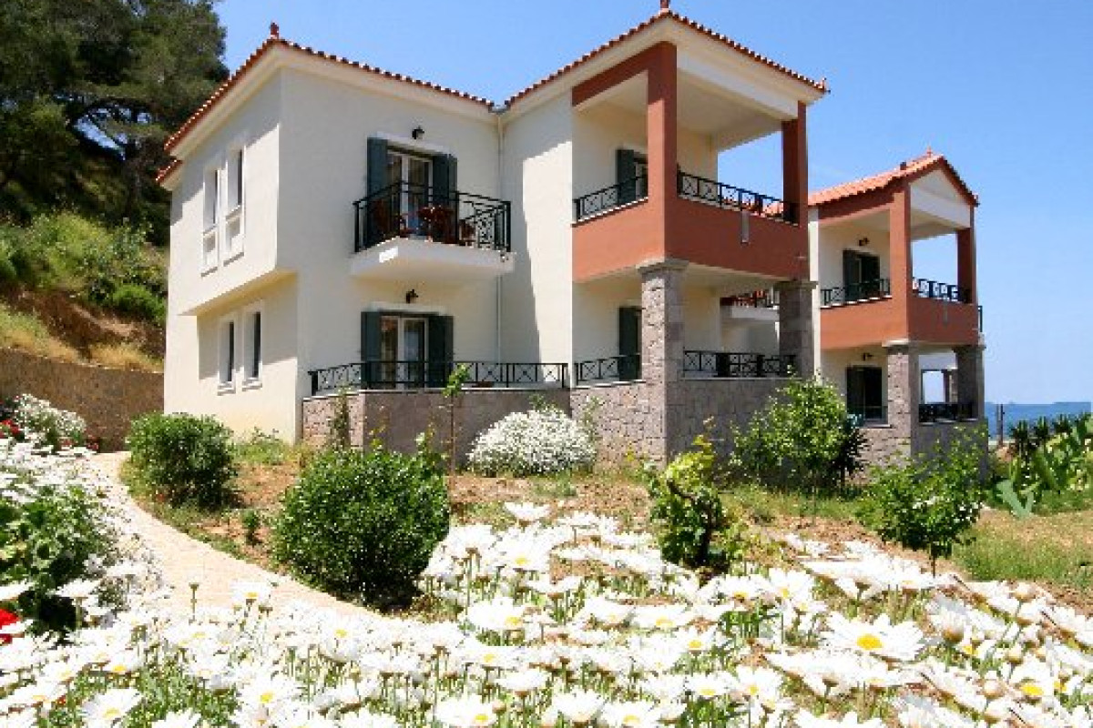 Hotel Alma (Petra)
