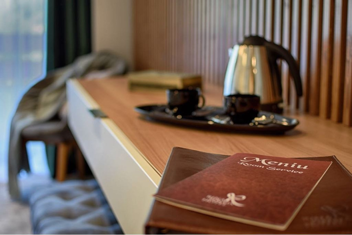 Hotel Sinaia (Rina)