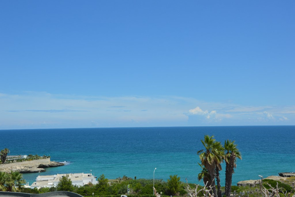 La Corvetta