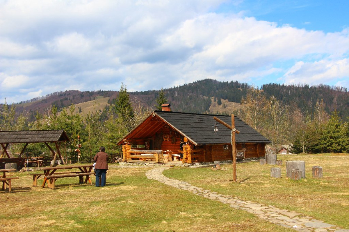 Inima Bucovinei ( Frasin)