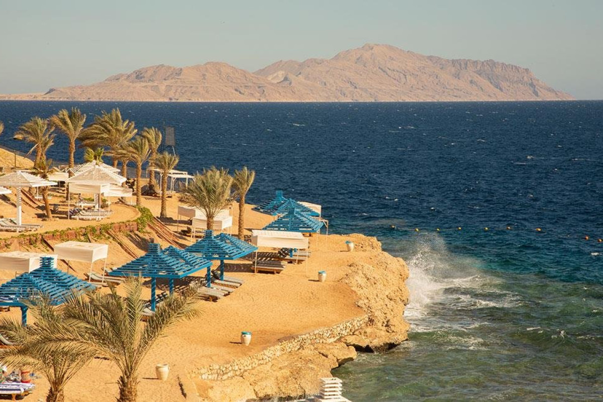 Grand Oasis Resort
