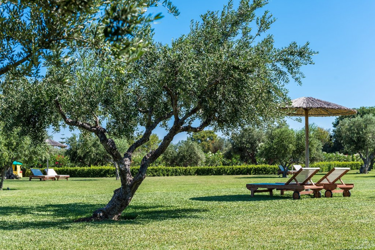 Ta Spitakia Boutique Guest Houses