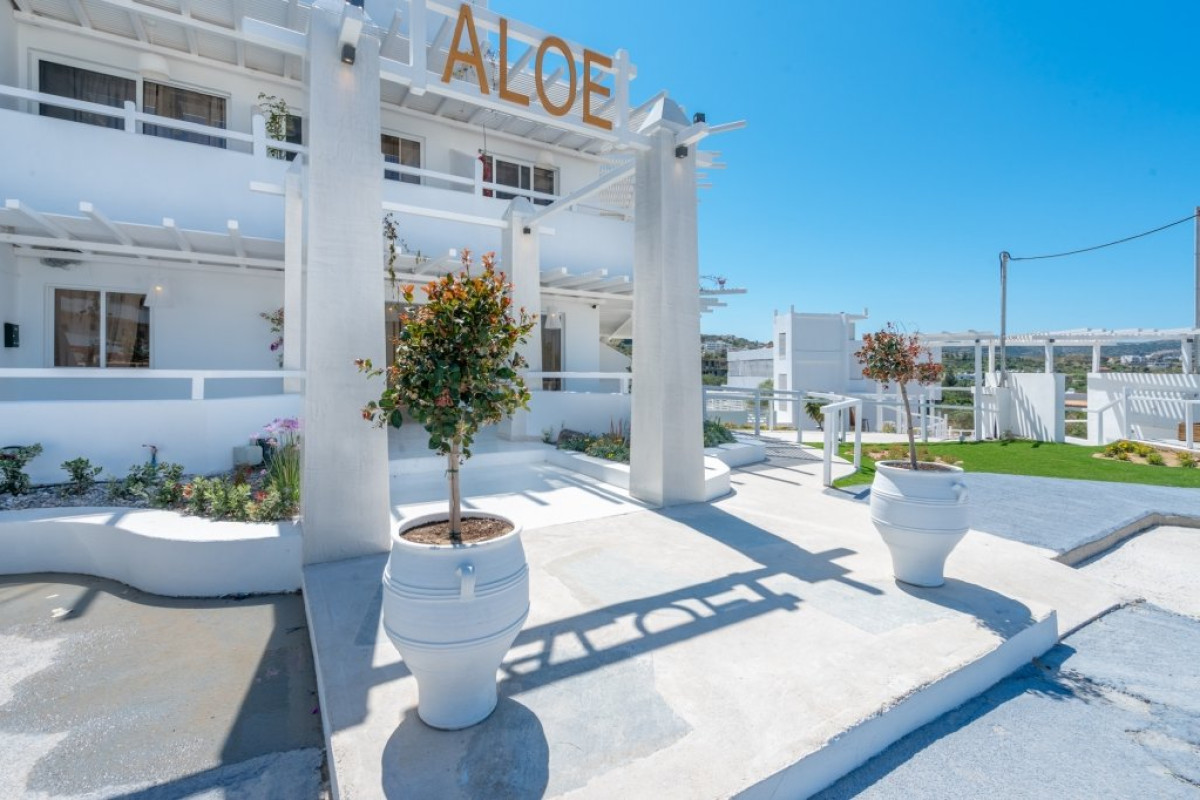 Aloe - Adults Only 18+ (D)