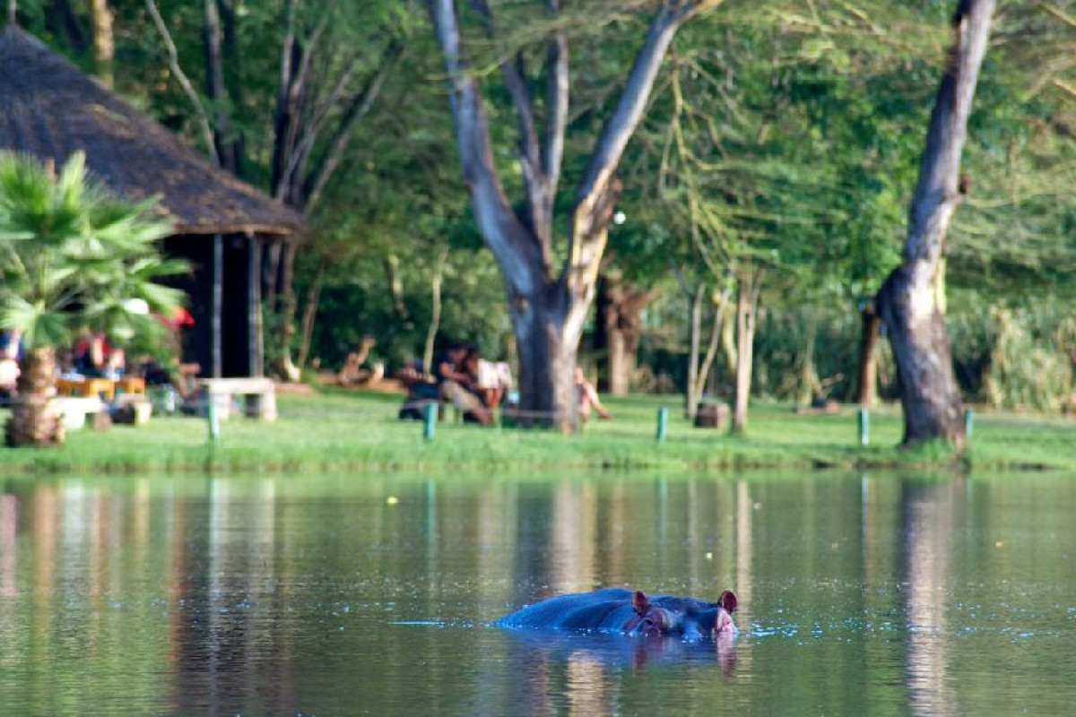 Safari Tsavo West 2 nopti + Plaja 5 nopti