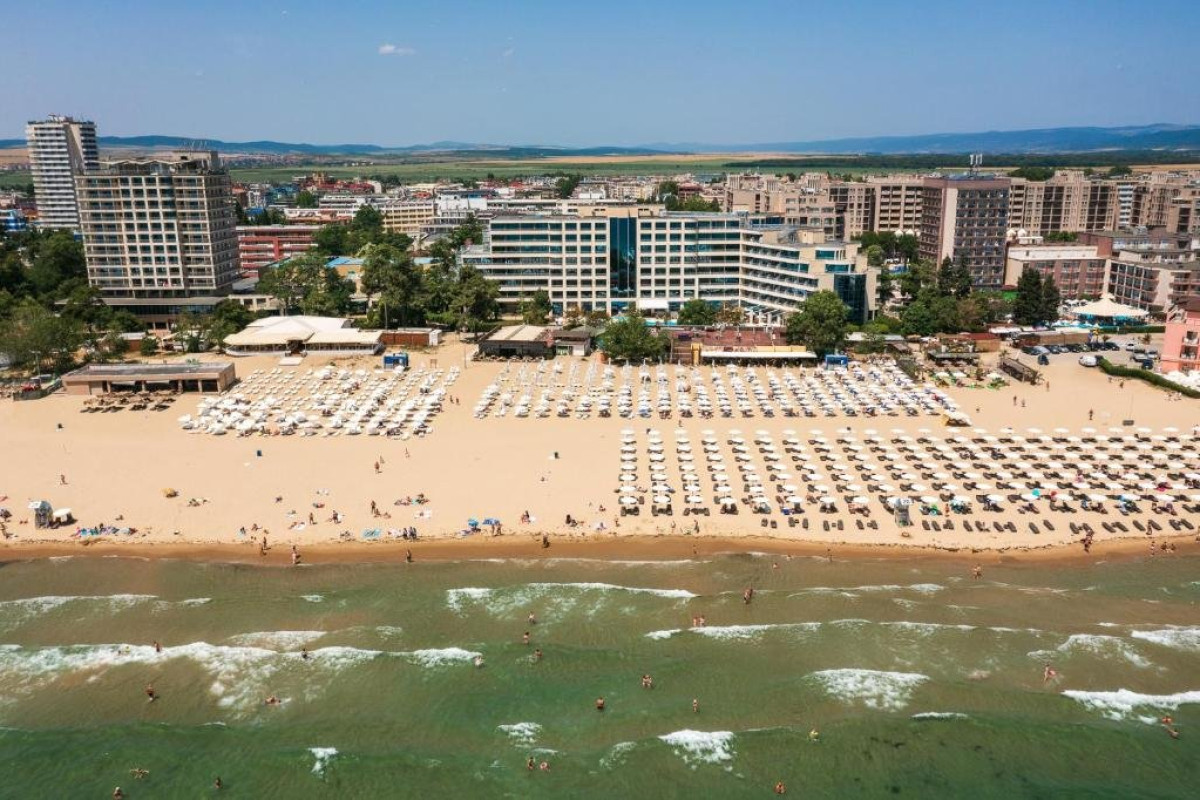 IM DREAMER HOTEL