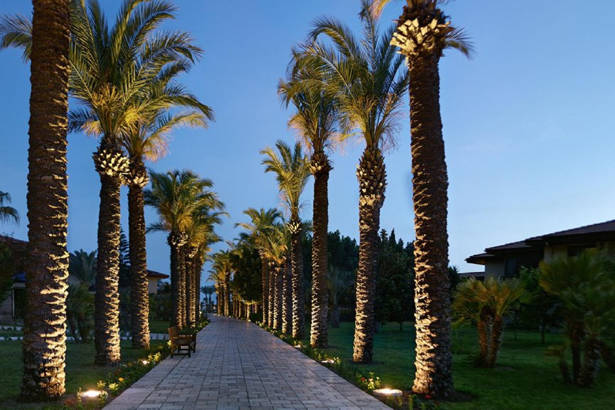 TUI BLUE PALM GARDEN