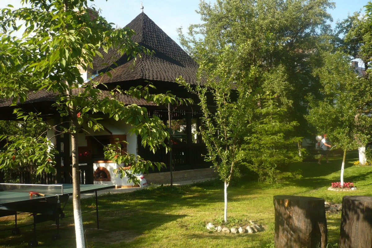 Casa Calin (Vama)
