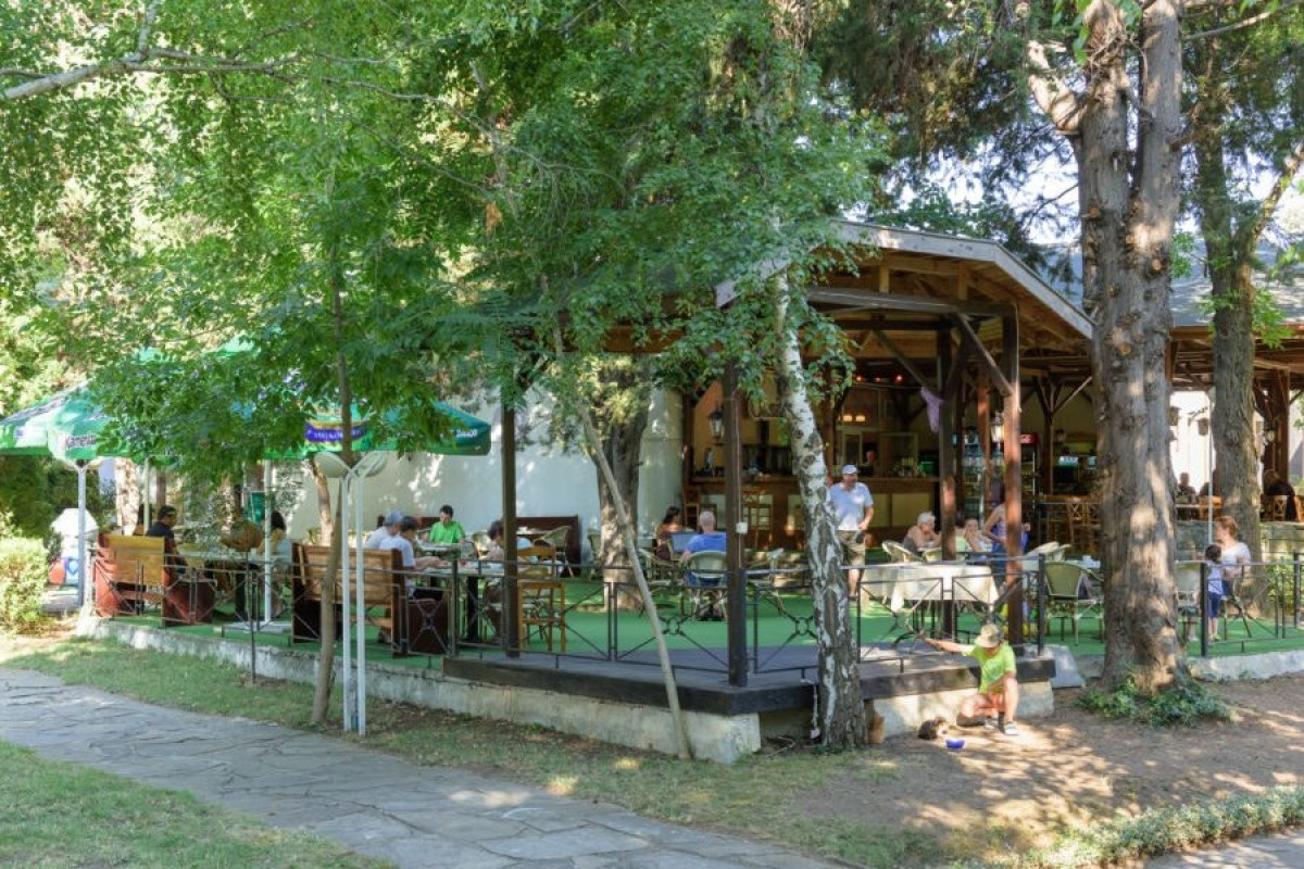 PARK HOTEL OASIS (dublat)