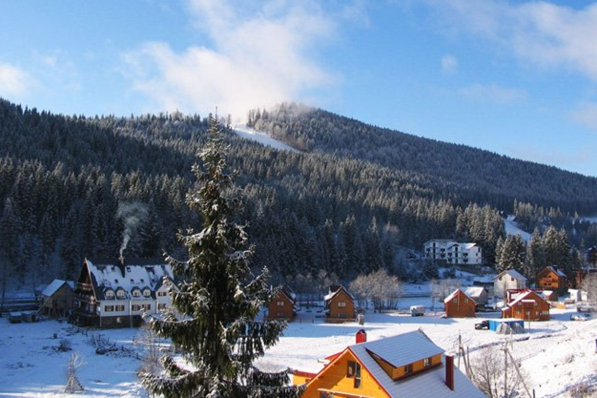 Torba