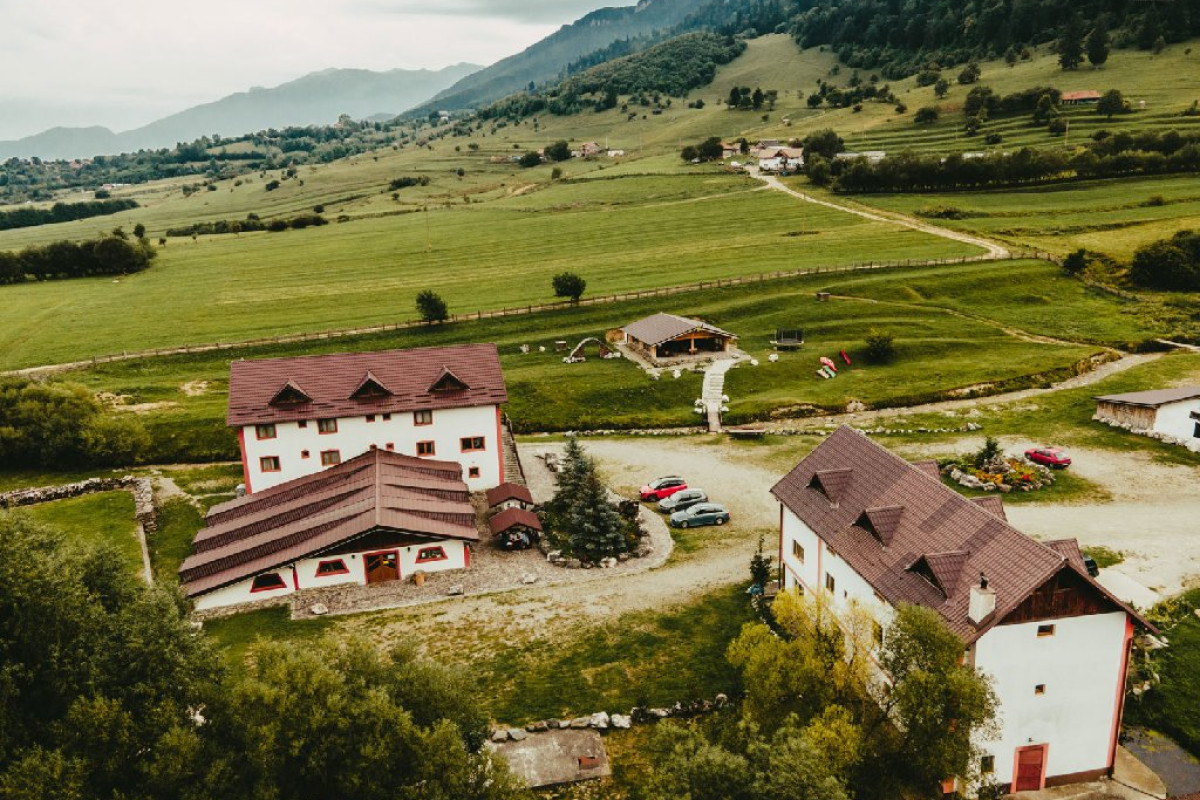 Pensiunea 3 Brazi