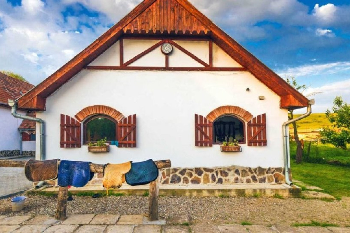 Domeniul Dracula Danes (Danes-Sighisoara)
