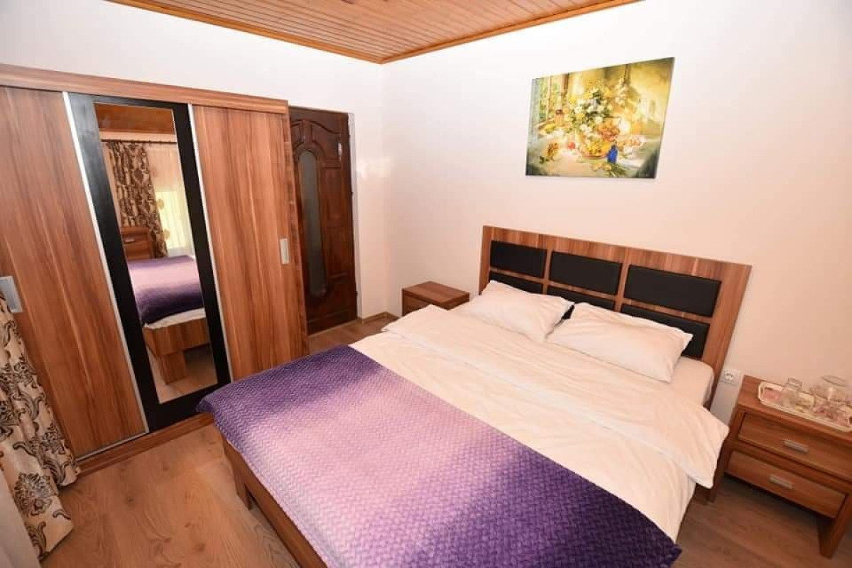 Cabana Poiana Nedi (Ciocotis)