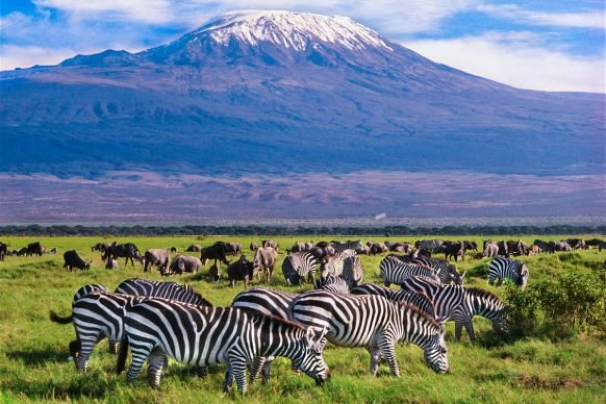 Safari Amboseli-Tsavo (3 nopti) + Diani Reef Beach (4 nopti)