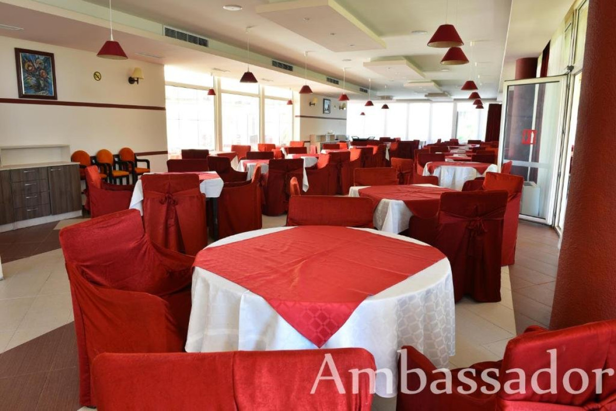 AMBASSADOR (GOLDEN SANDS)