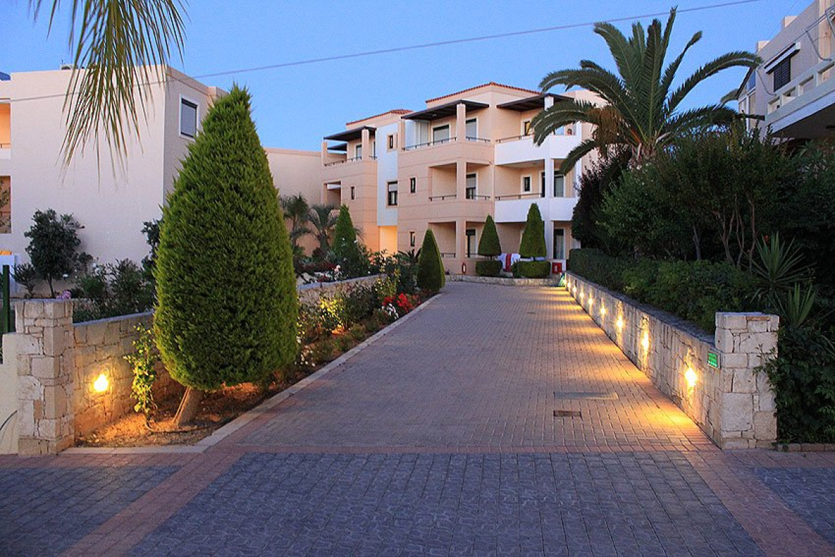 Creta Palm (K)