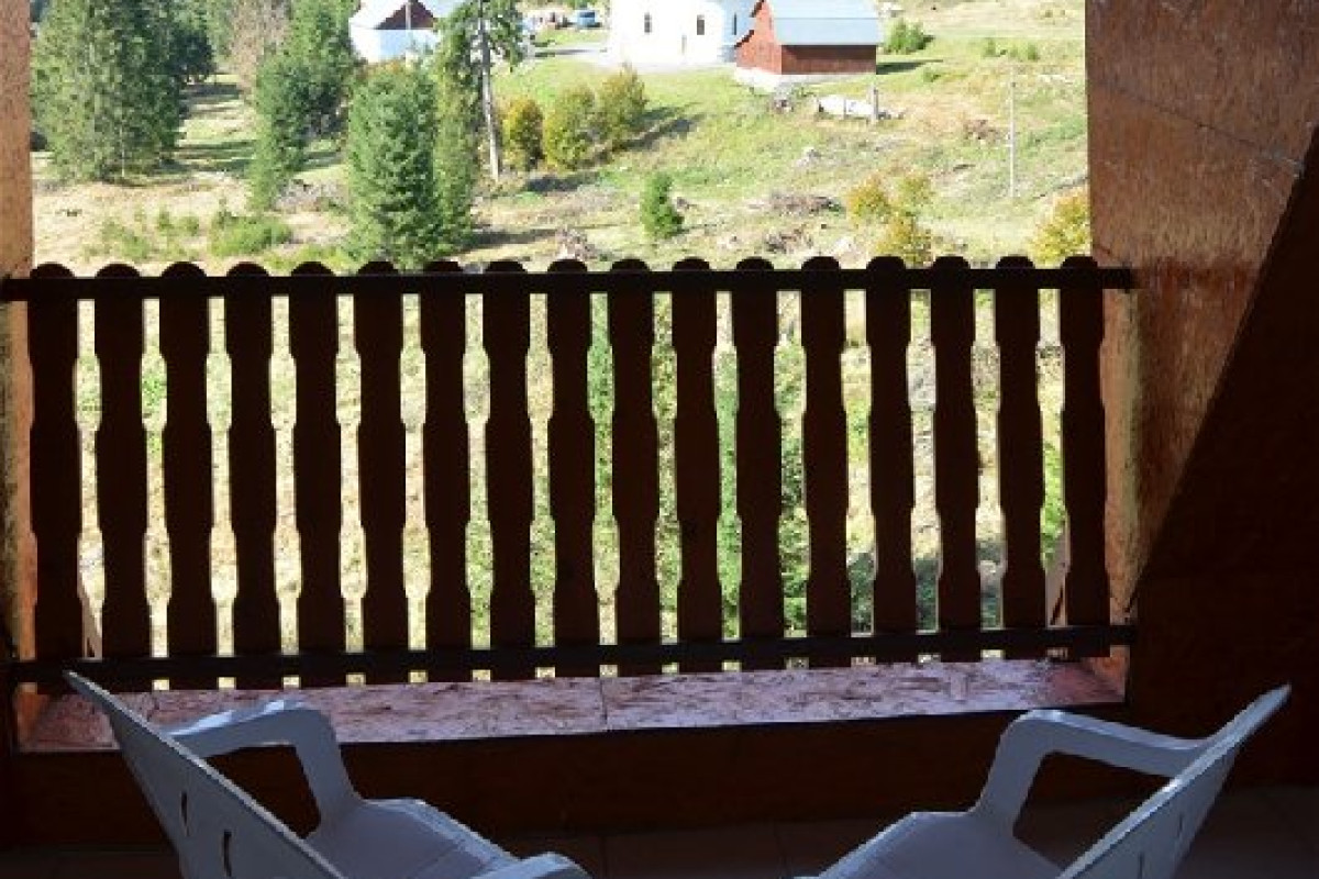 Iadolina