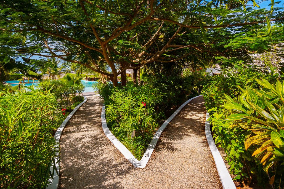 WHITE PARADISE ZANZIBAR (Pongwe)
