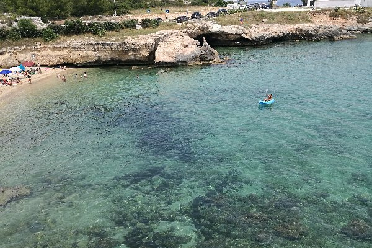 La Corvetta