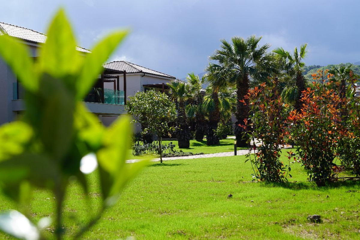 ALMYROS BEACH HOTEL (Acharavi) (C)