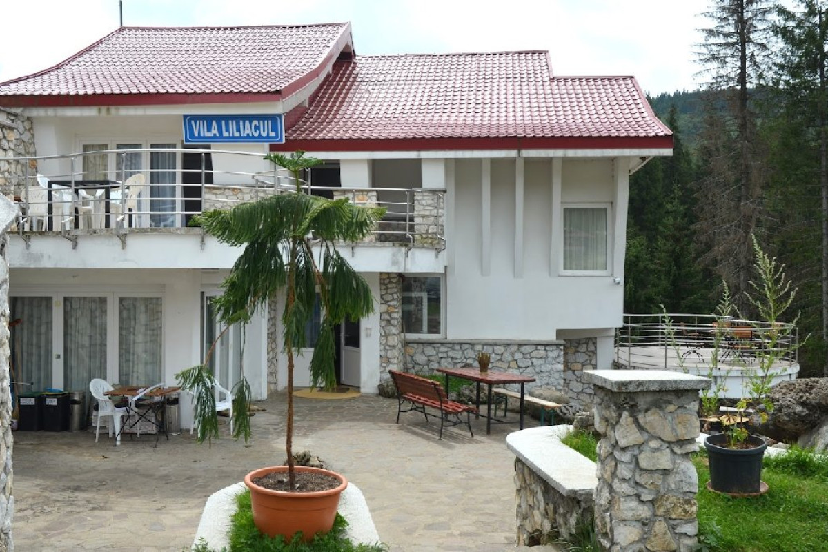 Vila Liliacul