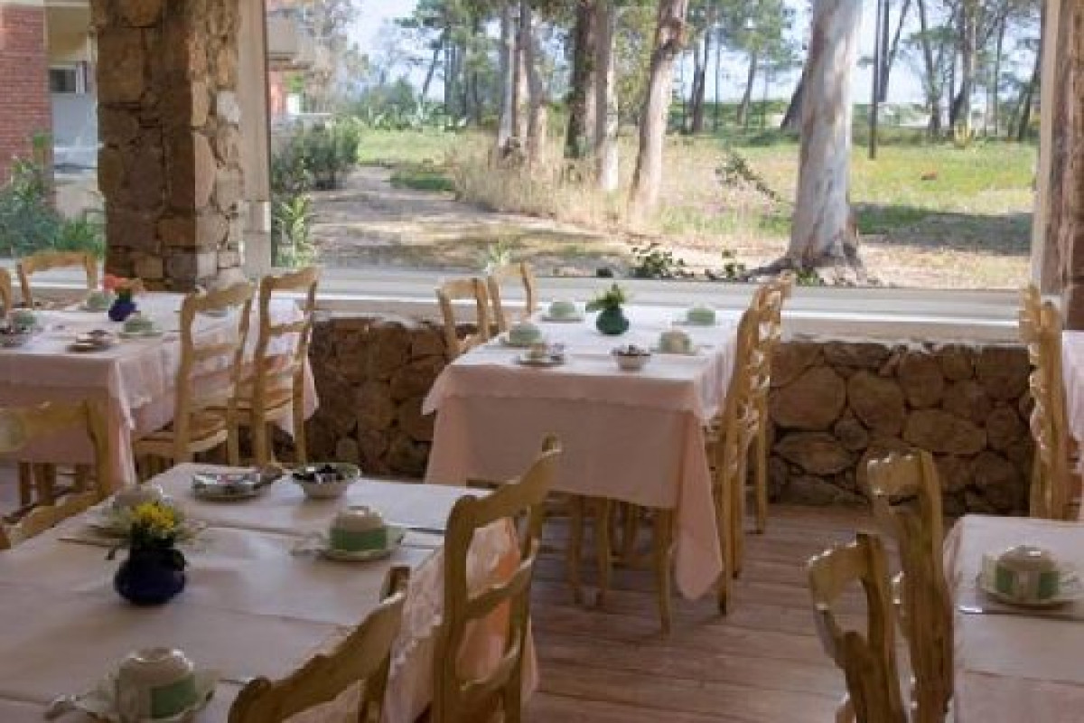 Calvi