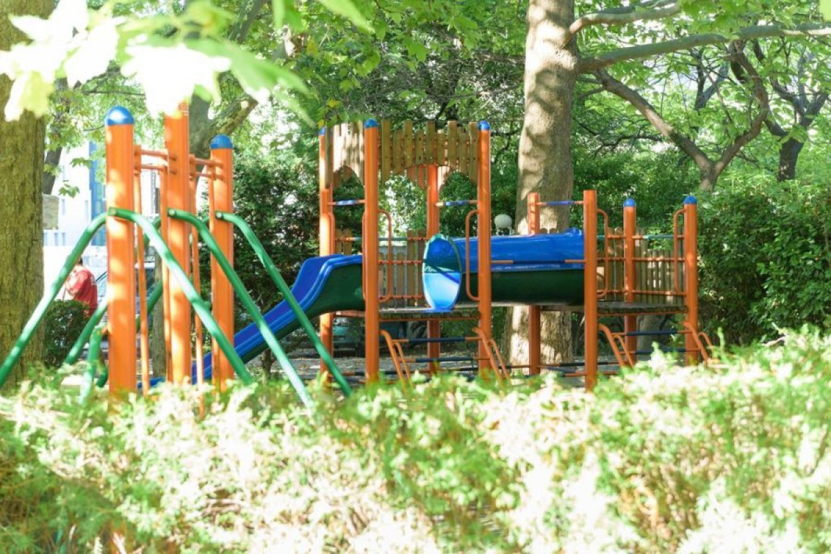 PARK HOTEL OASIS (dublat)