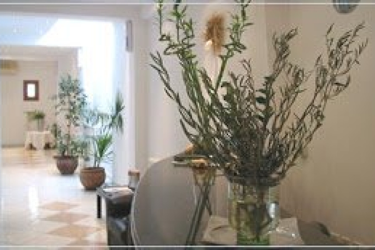 Theoxenia Boutique Hotel (Fira - Santorini)