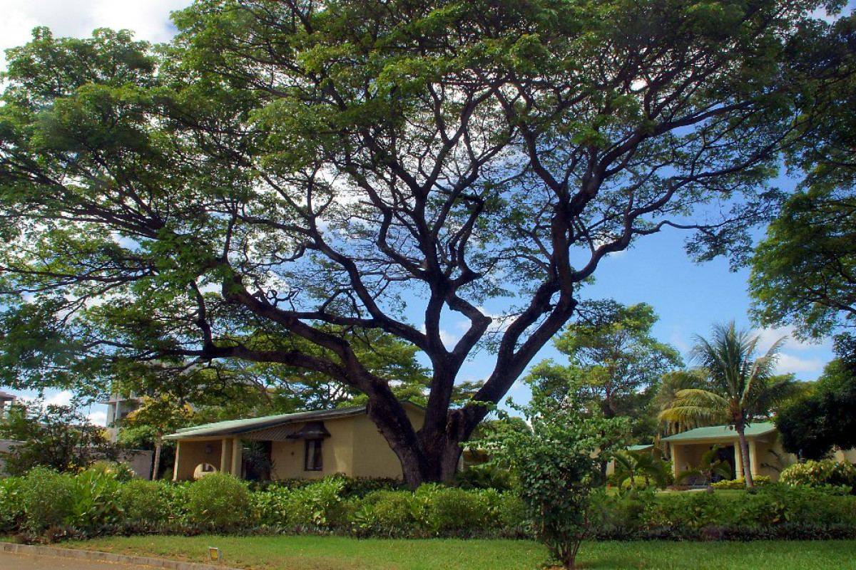 Anelia Resort